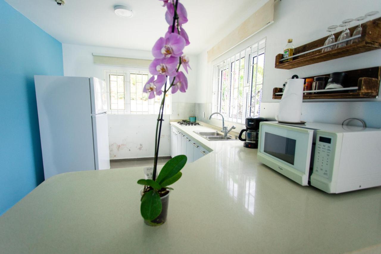 Westpunt Beach Apartments 威廉斯塔德 外观 照片